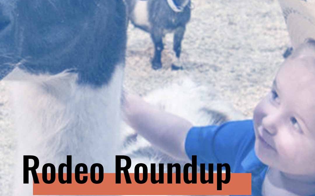 KSBJ on the Street – Rodeo Roundup/Go Texan Day
